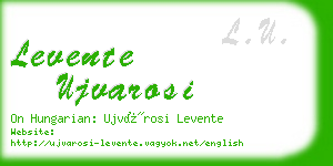 levente ujvarosi business card